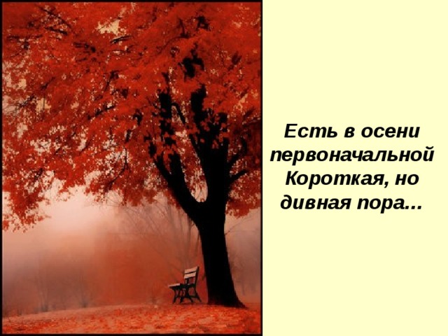 Есть в осени первоначальной  Короткая, но дивная пора… 