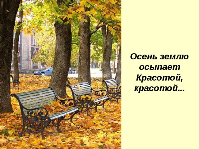 Осень землю осыпает  Красотой, красотой... 