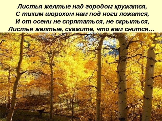 Листья желтые над городом кружатся,  С тихим шорохом нам под ноги ложатся,  И от осени не спрятаться, не скрыться,  Листья желтые, скажите, что вам снится…    