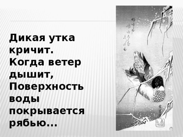 Дикая утка кричит. Когда ветер дышит, Поверхность воды покрывается рябью... 