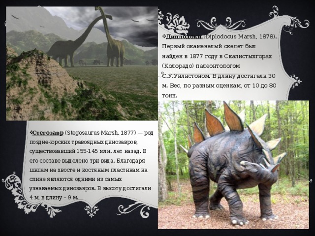 Диплодоки (Diplodocus Marsh, 1878). Первый окаменелый скелет был найден в 1877 году в Скалистыхгорах (Колорадо) палеонтологом С.У.Уилистоном. В длину достигали 30 м. Вес, по разным оценкам, от 10 до 80 тонн. Стегозавр (Stegosaurus Marsh, 1877) — род поздне-юрских травоядных динозавров, существовавший 155-145 млн. лет назад. В его составе выделено три вида. Благодаря шипам на хвосте и костяным пластинам на спине являются одними из самых узнаваемых динозавров. В высоту достигали 4 м, в длину – 9 м. 