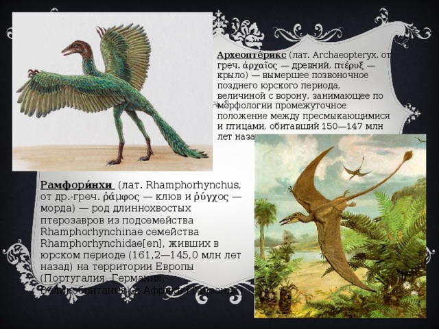 Археопте́рикс (лат. Archaeopteryx, от греч. ἀρχαῖος — древний, πτέρυξ — крыло) — вымершее позвоночное позднего юрского периода, величиной с ворону, занимающее по морфологии промежуточное положение между пресмыкающимися и птицами, обитавший 150—147 млн лет назад. Рамфори́нхи (лат. Rhamphorhynchus, от др.-греч. ῥάμφος — клюв и ῥύγχος — морда) — род длиннохвостых птерозавров из подсемейства Rhamphorhynchinae семейства Rhamphorhynchidae[en], живших в юрском периоде (161,2—145,0 млн лет назад) на территории Европы (Португалия, Германия, Великобритания) и Африки (Танзания) 