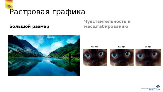 Растровая графика Большой размер  Чувствительность к масштабированию 