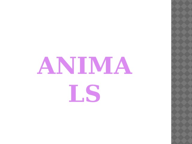 ANIMALS 