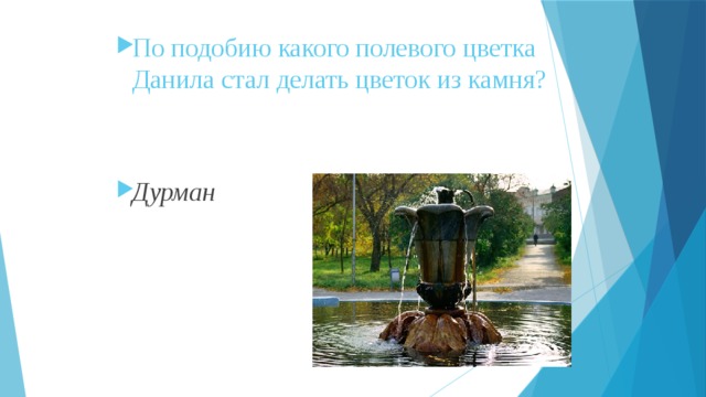 По подобию какого полевого цветка Данила стал делать цветок из камня? Дурман 