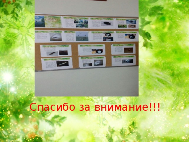 Спасибо за внимание!!! 