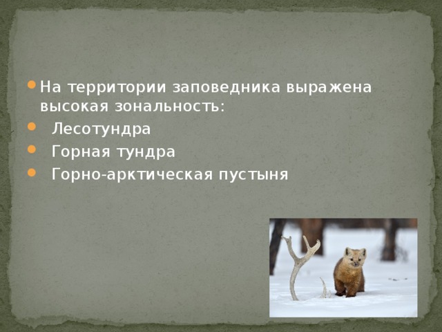 На территории заповедника выражена высокая зональность: Лесотундра Горная тундра Горно-арктическая пустыня 