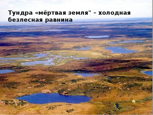 Тундра «мёртвая земля