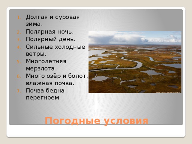 Долгая и суровая зима. Полярная ночь. Полярный день. Сильные холодные ветры. Многолетняя мерзлота. Много озёр и болот, влажная почва. Почва бедна перегноем. Погодные условия 