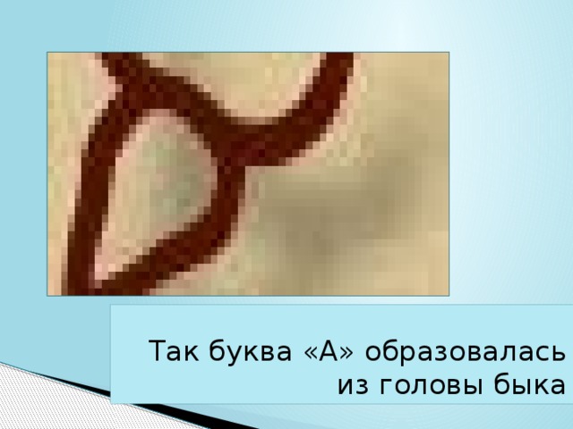 Так буква «А» образовалась из головы быка