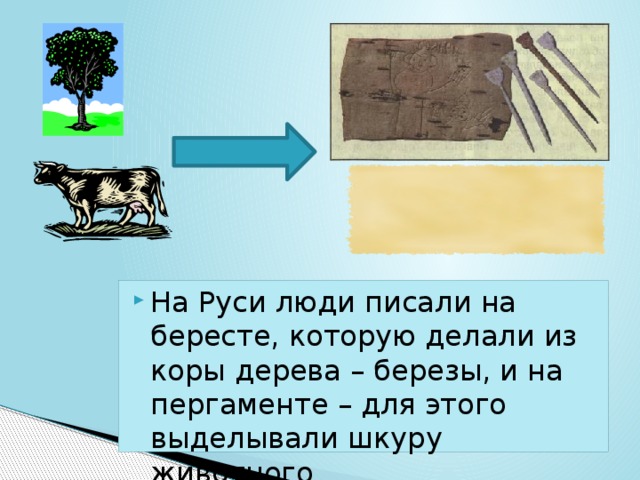 На Руси люди писали на бересте, которую делали из коры дерева – березы, и на пергаменте – для этого выделывали шкуру животного