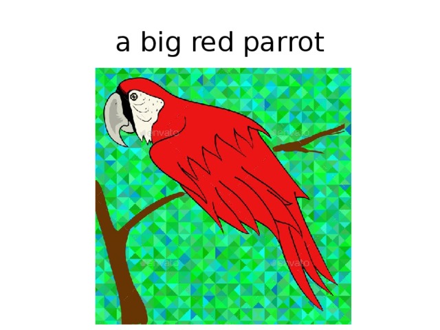 a big red parrot 