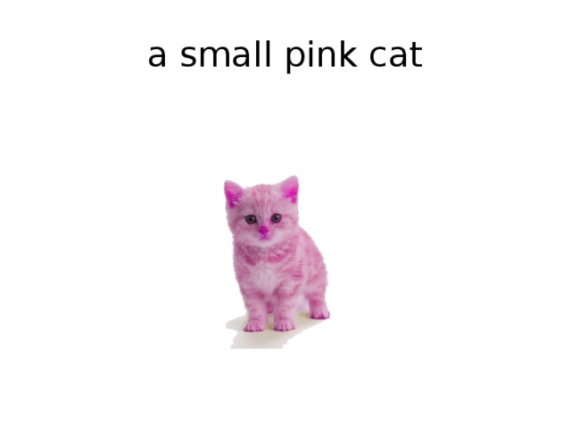 a small pink cat 