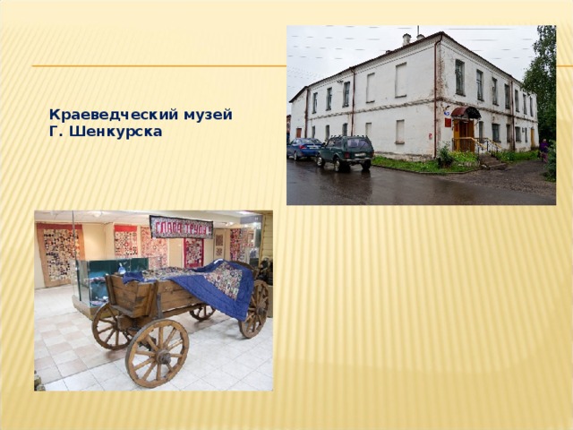 Краеведческий музей Г. Шенкурска 