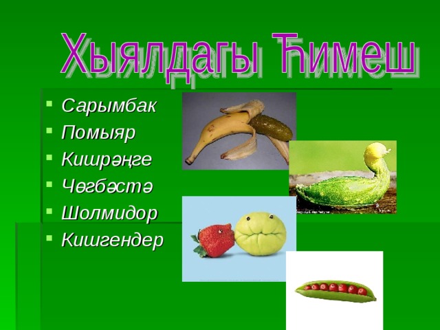 Сарымбак Помыяр Кишрәңге Чөгбәстә Шолмидор Кишгендер 