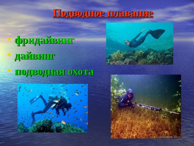 Подводное плавание  фридайвинг дайвинг подводная охота 