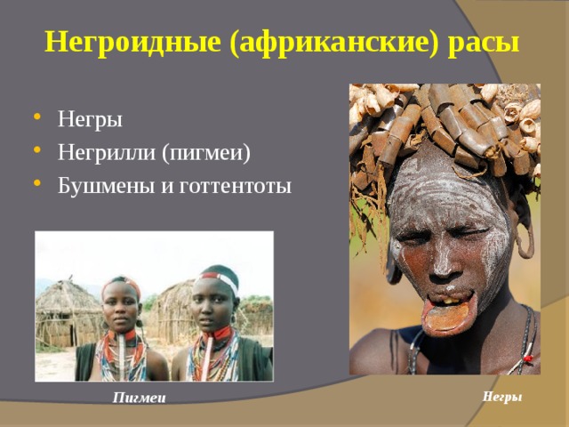Негроидные (африканские) расы Негры Негрилли (пигмеи) Бушмены и готтентоты Негры  Пигмеи  