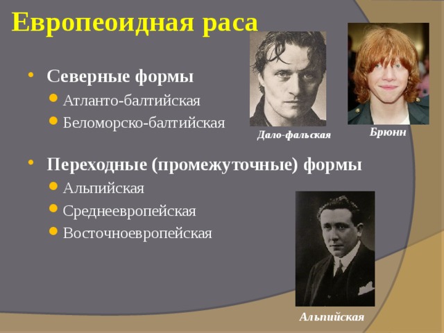 Европеоидная раса Северные формы Атланто-балтийская Беломорско-балтийская Атланто-балтийская Беломорско-балтийская Переходные (промежуточные) формы  Альпийская Среднеевропейская Восточноевропейская Альпийская Среднеевропейская Восточноевропейская Брюнн Дало-фальская  Альпийская 