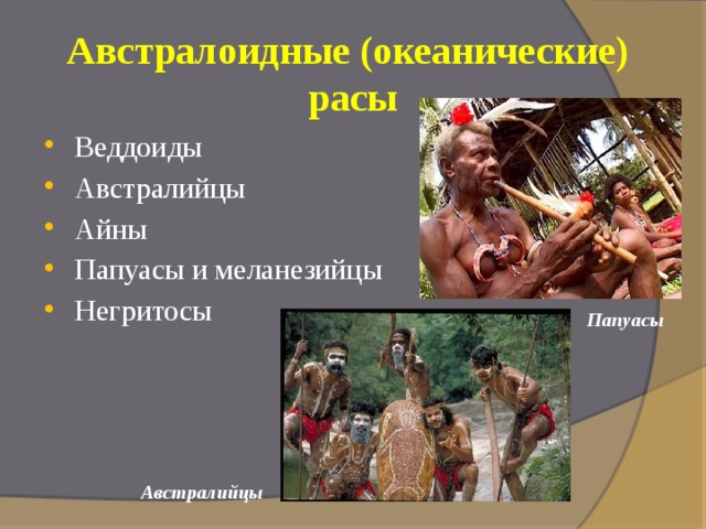 Австралоидные (океанические) расы Веддоиды Австралийцы Айны Папуасы и меланезийцы Негритосы Папуасы  Австралийцы  