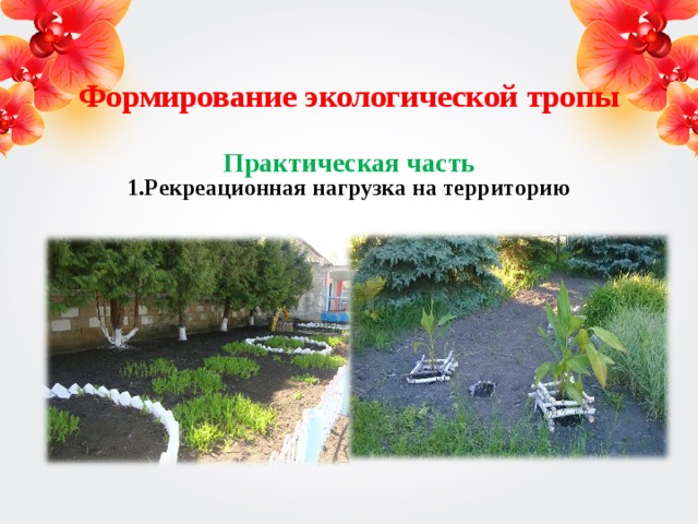 Формирование экологической тропы   Практическая часть
