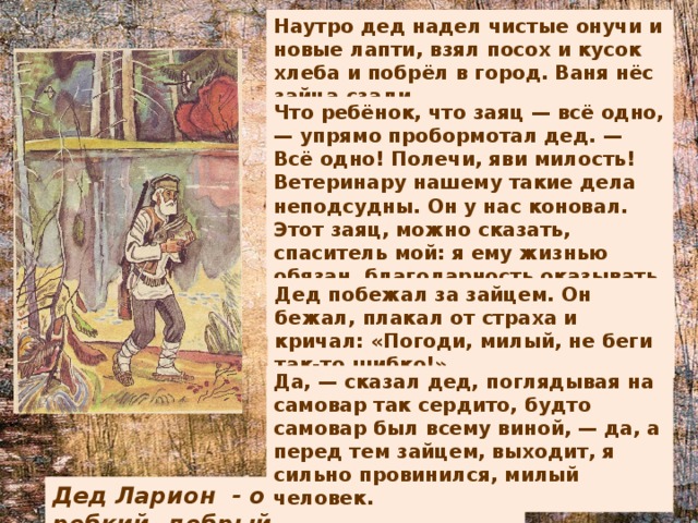 Наутро дед надел чистые онучи и новые лапти, взял посох и кусок хлеба и побрёл в город. Ваня нёс зайца сзади. Что ребёнок, что заяц — всё одно, — упрямо пробормотал дед. — Всё одно! Полечи, яви милость! Ветеринару нашему такие дела неподсудны. Он у нас коновал. Этот заяц, можно сказать, спаситель мой: я ему жизнью обязан, благодарность оказывать должен, а ты говоришь — бросить! Дед побежал за зайцем. Он бежал, плакал от страха и кричал: «Погоди, милый, не беги так-то шибко!» Да, — сказал дед, поглядывая на самовар так сердито, будто самовар был всему виной, — да, а перед тем зайцем, выходит, я сильно провинился, милый человек. Дед Ларион - отзывчивый, робкий, добрый. 