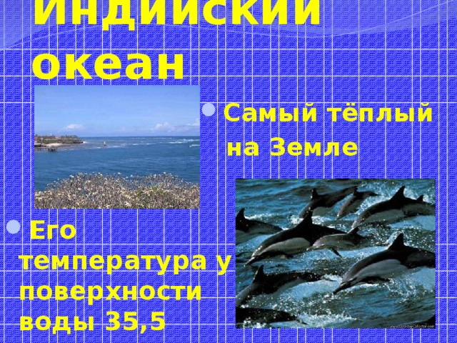Индийский океан Самый тёплый  на Земле Его температура у поверхности воды 35,5 градуса 