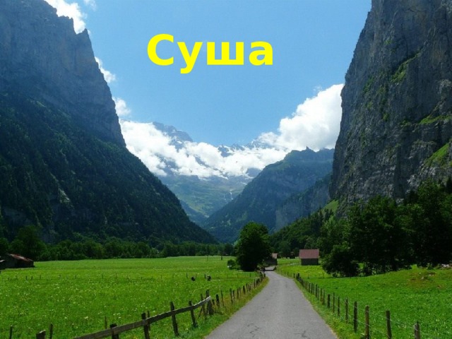 Суша 