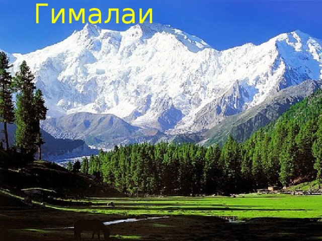 Гималаи 