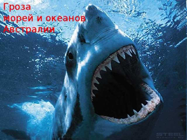 Гроза морей и океанов Австралии 