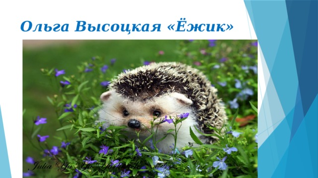 Ольга Высоцкая «Ёжик» 
