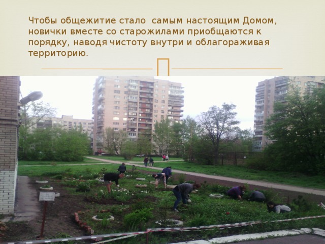 Чтобы общежитие стало самым настоящим Домом, новички вместе со старожилами приобщаются к порядку, наводя чистоту внутри и облагораживая территорию. 