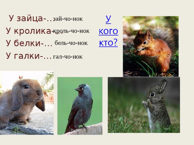 У зайца-… У кролика-… У белки-… У галки-… зай-чо-нок кроль-чо-нок бель-чо-нок гал-чо-нок 