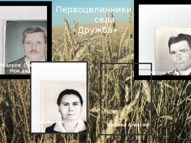 Первоцелинники села «Дружба» Фёдоров Степан Мой дед Капуш Юрий Грушевская Галина Шибаев Алексей 