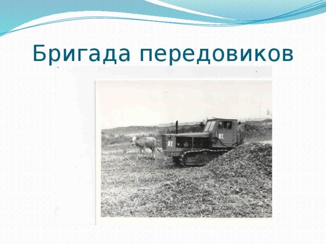 Бригада передовиков 