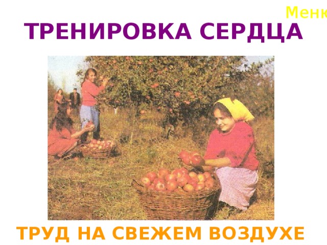 Меню ТРЕНИРОВКА СЕРДЦА  ТРУД НА СВЕЖЕМ ВОЗДУХЕ  