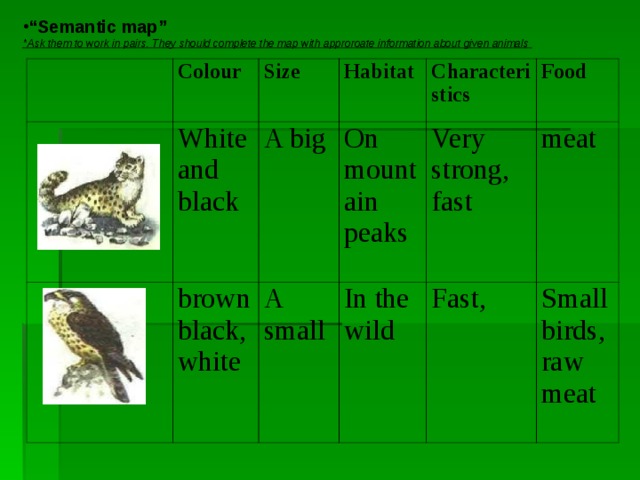 “ Semantic map” *Ask them to work in pairs. They should complete the map with approroate information about given animals Colour Size White and black A big brownblack, white Habitat Characteristics On mountain peaks A small Food Very strong, fast In the wild Fast, meat Small birds, raw meat 