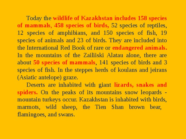 Today the  wildlife of Kazakhstan includes 158 species of mammals , 458 species of birds, 52 species of reptiles, 12 species of amphibians, and 150 species of fish, 19 species of animals and 23 of birds. They are included into the International Red Book of rare or endangered animals. In the mountains of the Zailiiski Alatau alone, there are about 50 species of mammals , 141 species of birds and 3 species of fish. In the steppes herds of koulans and jeirans (Asiatic antelope) graze. Deserts are inhabited with giant lizards, snakes and spiders. On the peaks of its mountains snow leopards - mountain turkeys occur. Kazakhstan is inhabited with birds, marmots, wild sheep, the Tien Shan brown bear, flamingoes, and swans. 