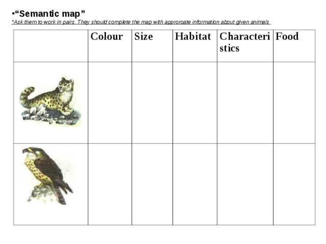 “ Semantic map” *Ask them to work in pairs. They should complete the map with approroate information about given animals Colour Size Habitat Characteristics Food 