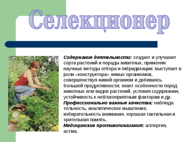 Содержание деятельности: создает и улучшает сорта растений и породы животных, применяя научные методы отбора и гибридизации; выступает в роли «конструктора» живых организмов, совершенствуя живой организм и добиваясь большей продуктивно­сти; знает особенности пород животных или видов растений, условия содержания, устойчивость к неблагоприятным факторам и др. Профессионально важные качества: наблюда­тельность, аналитическое мышление, избирательность внимания, хорошая тактильная и зрительная память. Медицинские противопоказания: аллергия, астма. 
