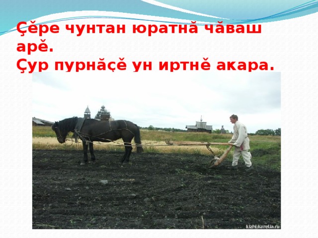 Çěре чунтан юратнă чăваш арě.  Çур пурнăçě ун иртнě акара.   