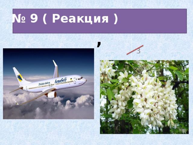 № 9 ( Реакция )  ,   3 