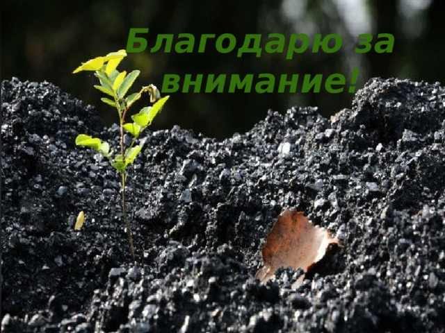 Благодарю за внимание! 