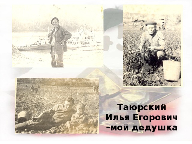 Таюрский Илья Егорович –мой дедушка 