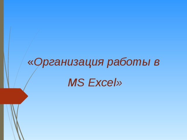  « Организация работы в  MS Excel»  
