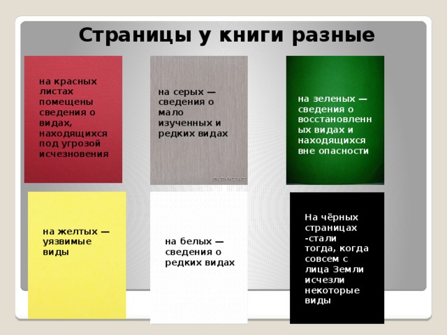 Страницы у книги разные на красных листах помещены сведения о видах, находящихся под угрозой исчезновения на серых — сведения о мало изученных и редких видах на зеленых — сведения о восстановленных видах и находящихся вне опасности На чёрных страницах -стали тогда, когда совсем с лица Земли исчезли некоторые виды на желтых — уязвимые виды на белых — сведения о редких видах . 