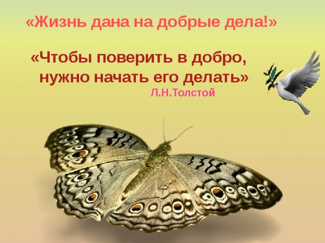«Жизнь дана на добрые дела!» «Чтобы поверить в добро,  нужно начать его делать»  Л.Н.Толстой 