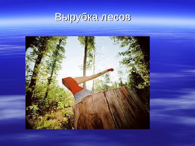  Вырубка лесов 