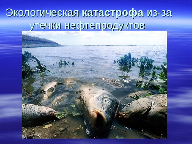 Экологическая катастрофа из-за утечки нефтепродуктов 