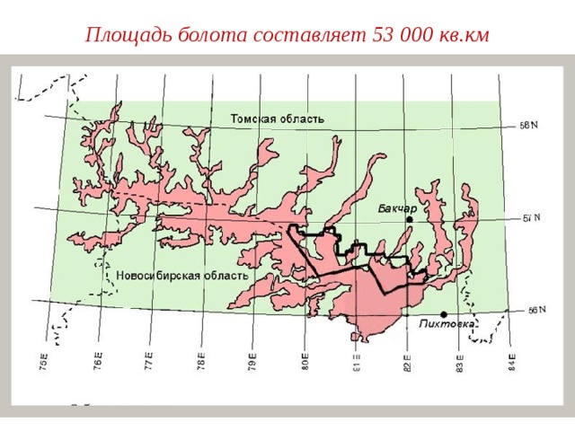Площадь болота составляет 53 000 кв.км 