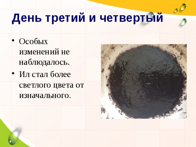 День третий и четвертый Особых изменений не наблюдалось. Ил стал более светлого цвета от изначального . 